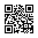 QR CODE 394