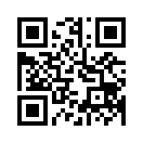 QR CODE 461