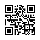 QR CODE 501