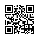 QR CODE 528