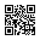 QR CODE 529