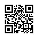 QR CODE 734