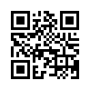 QR CODE 737