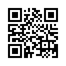 QR CODE 813