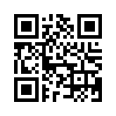 QR CODE 856