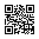 QR CODE 913