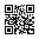 QR CODE 429