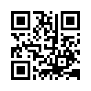 QR CODE 245