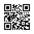 QR CODE 110