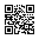 QR CODE 42
