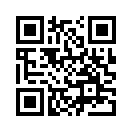 QR CODE 2863