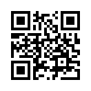 QR CODE 3007