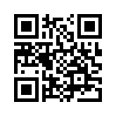QR CODE 3133