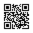 QR CODE 3174