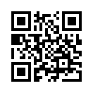 QR CODE 3194