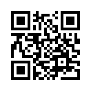 QR CODE 3239