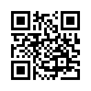 QR CODE 3299