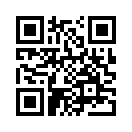 QR CODE 3338