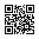 QR CODE 3346