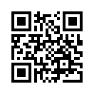 QR CODE 3419