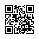 QR CODE 3538