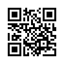 QR CODE 3771