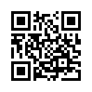 QR CODE 3793