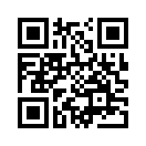 QR CODE 3870