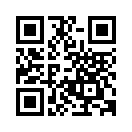 QR CODE 3883