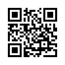 QR CODE 3893