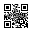 QR CODE 501