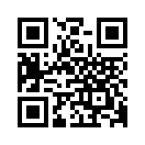 QR CODE 529