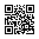 QR CODE 553