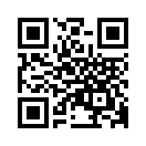 QR CODE 584