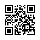 QR CODE 950