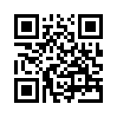 QR CODE 993