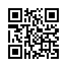 QR CODE 538