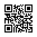 QR CODE 737