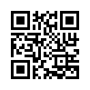 QR CODE 110