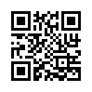 QR CODE 133