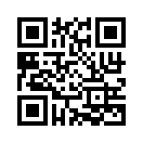 QR CODE 216