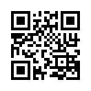 QR CODE 31