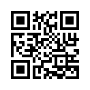 QR CODE 316