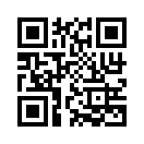 QR CODE 329