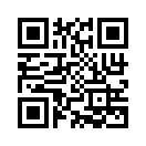 QR CODE 336