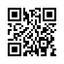 QR CODE 393