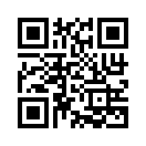 QR CODE 394