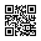 QR CODE 461