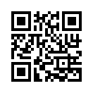 QR CODE 466