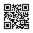 QR CODE 528